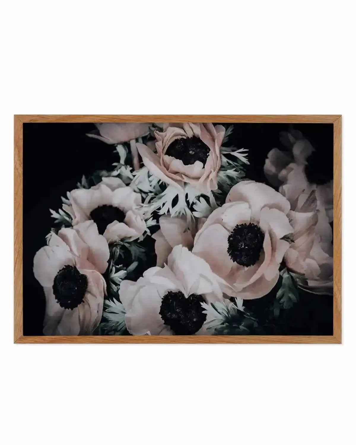 Anemone I Art Print from Olive et Oriel where you can shop wallpaper and artworks online