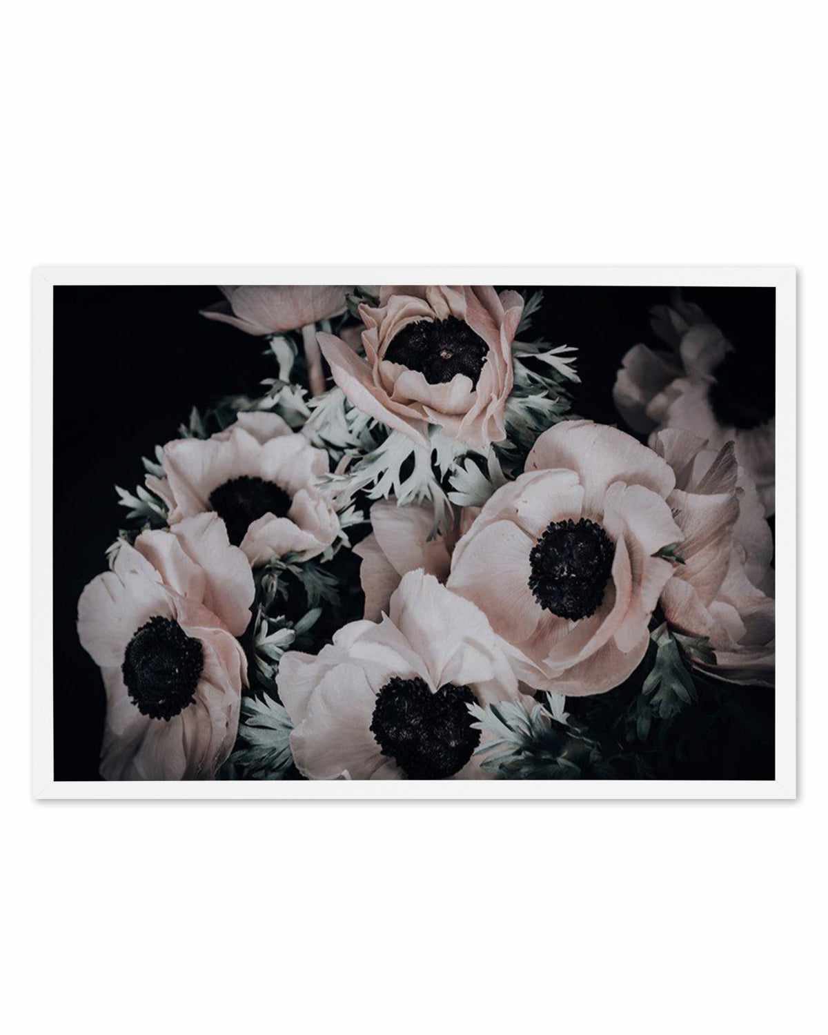 Anemone I Art Print