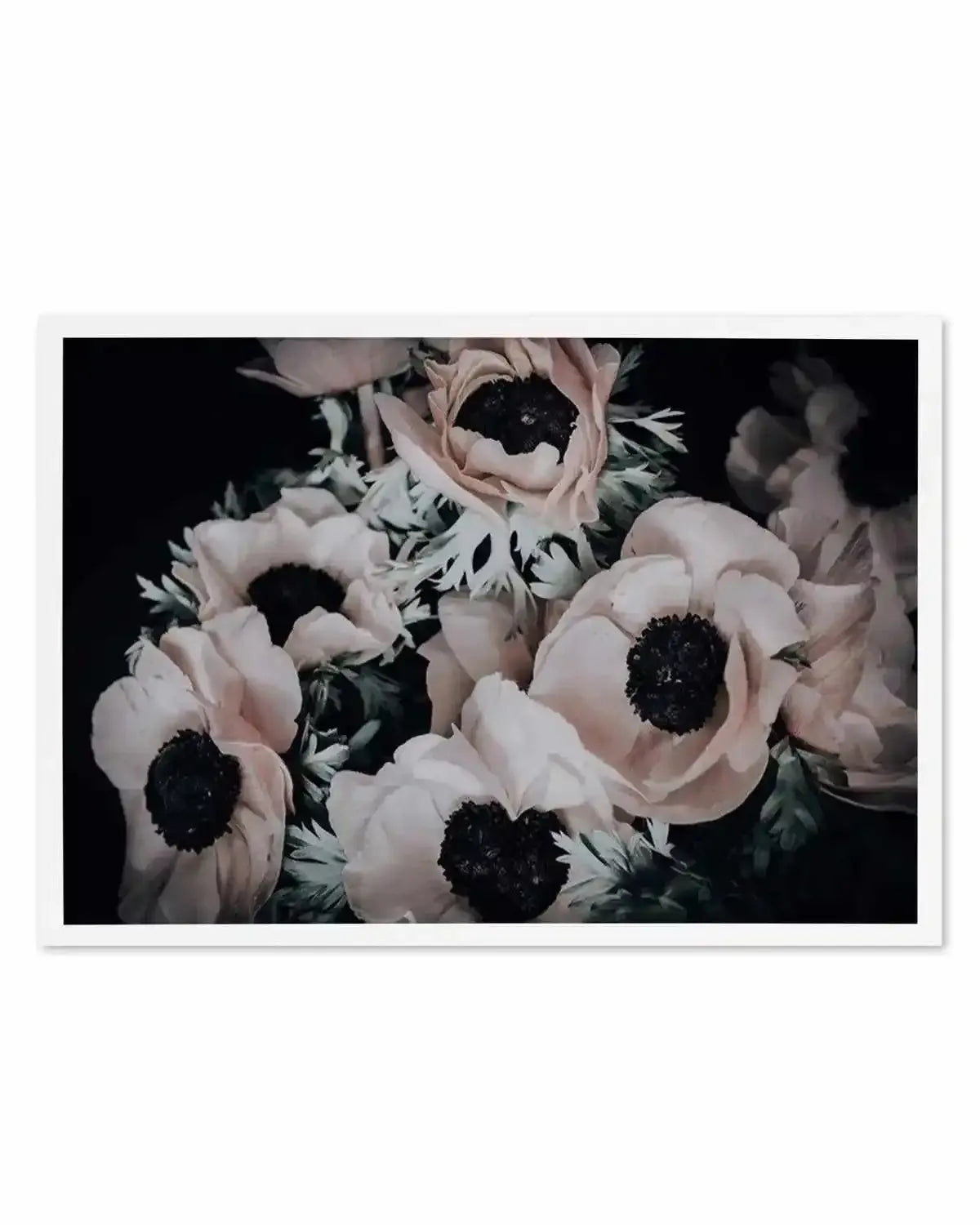 Anemone I Art Print from Olive et Oriel where you can shop wallpaper and artworks online