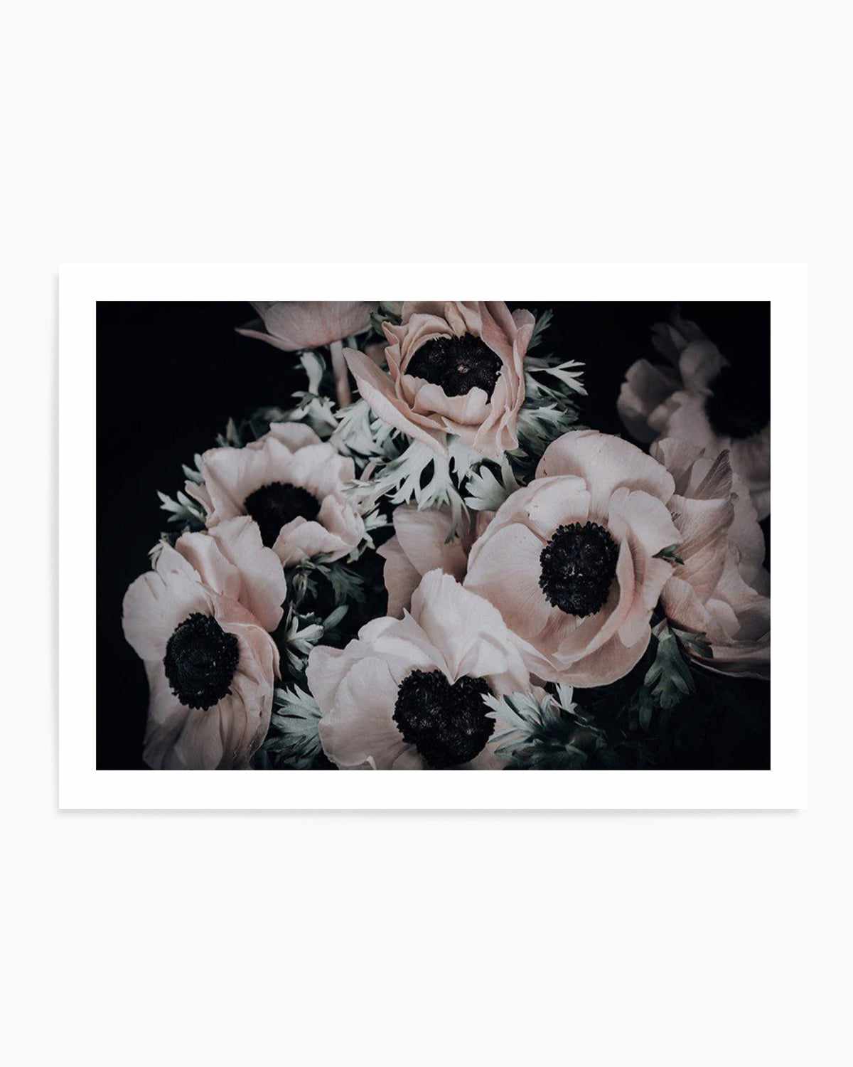 Anemone I Art Print