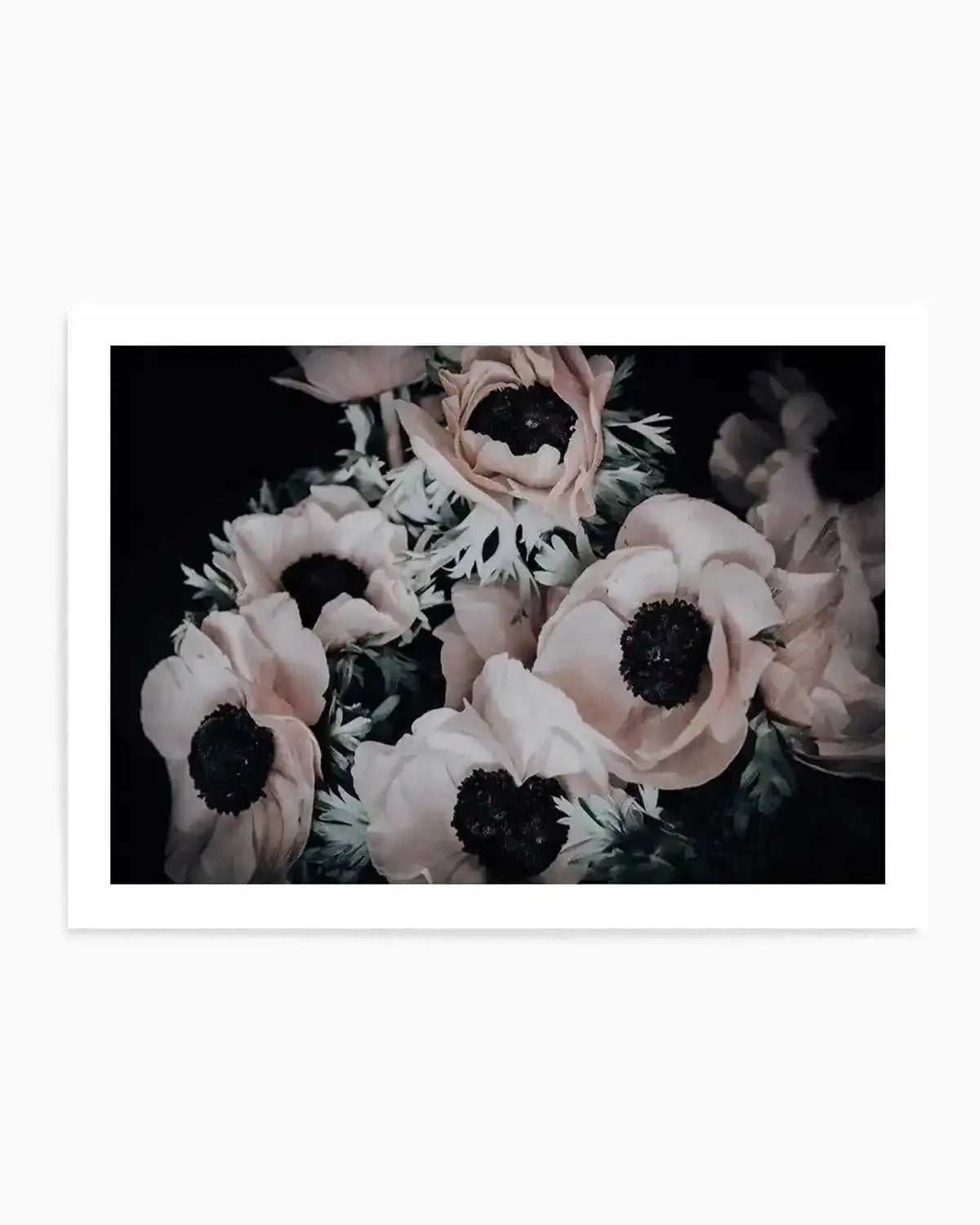 Anemone I Art Print from Olive et Oriel where you can shop wallpaper and artworks online