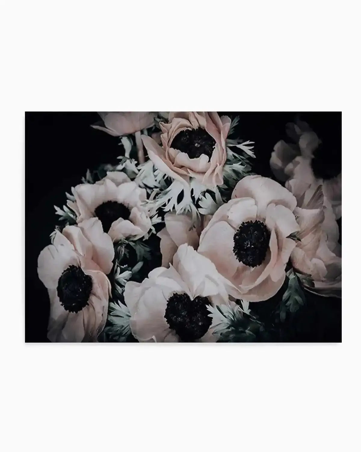 Anemone I Art Print from Olive et Oriel where you can shop wallpaper and artworks online