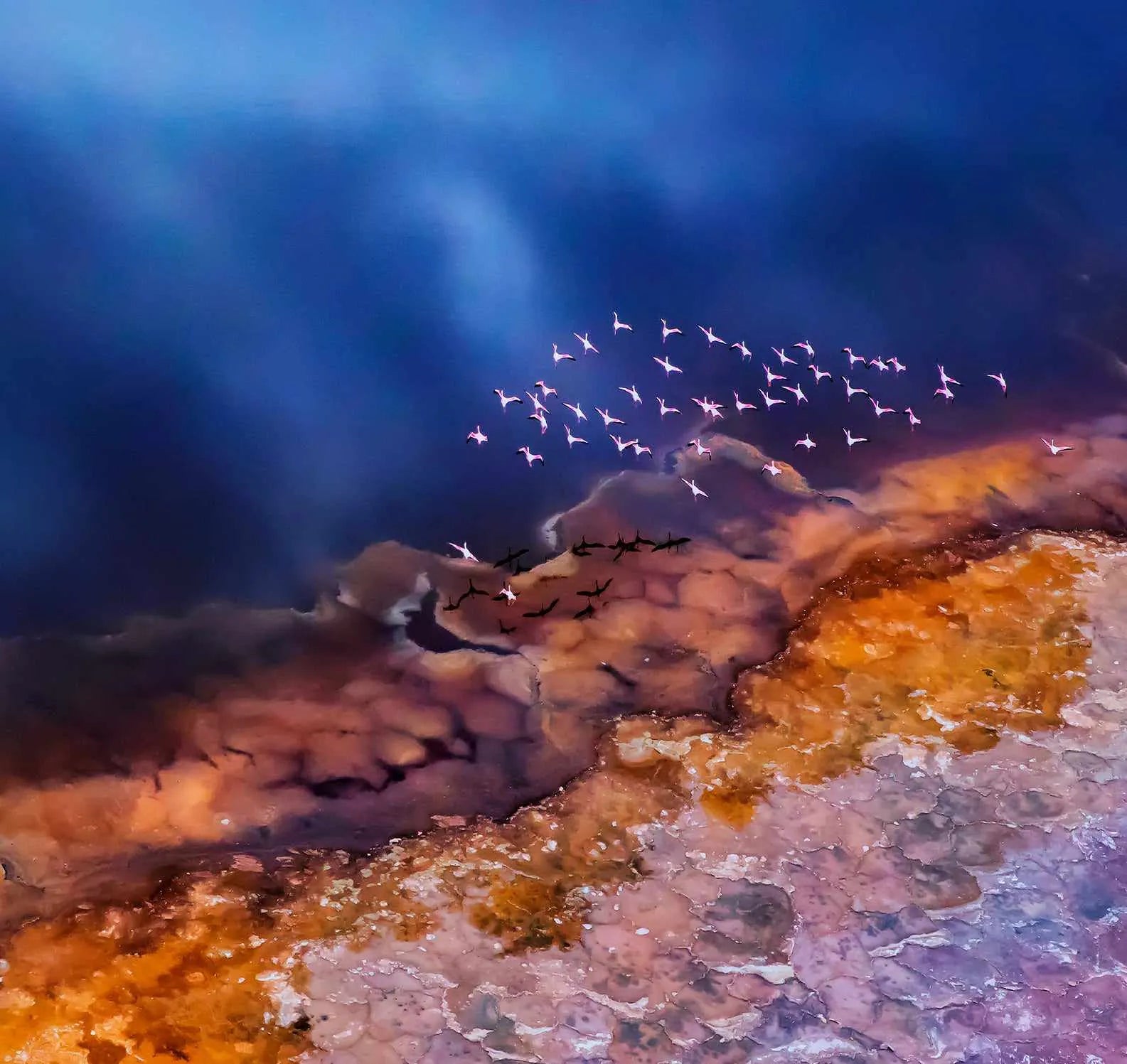 Another Land by Phillip Chang | Framed Canvas Art Print from Olive et Oriel where you can shop wallpaper and artworks online