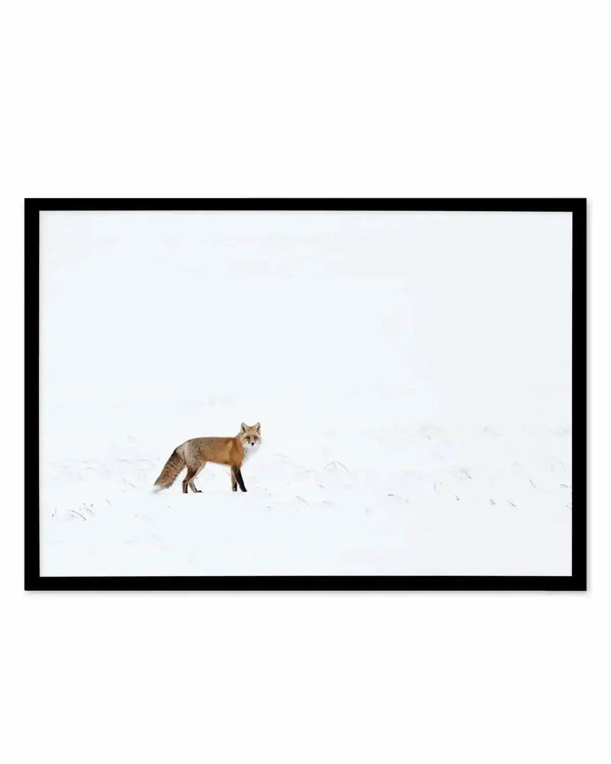 Arctic Fox | LS Art Print from Olive et Oriel where you can shop wallpaper and artworks online