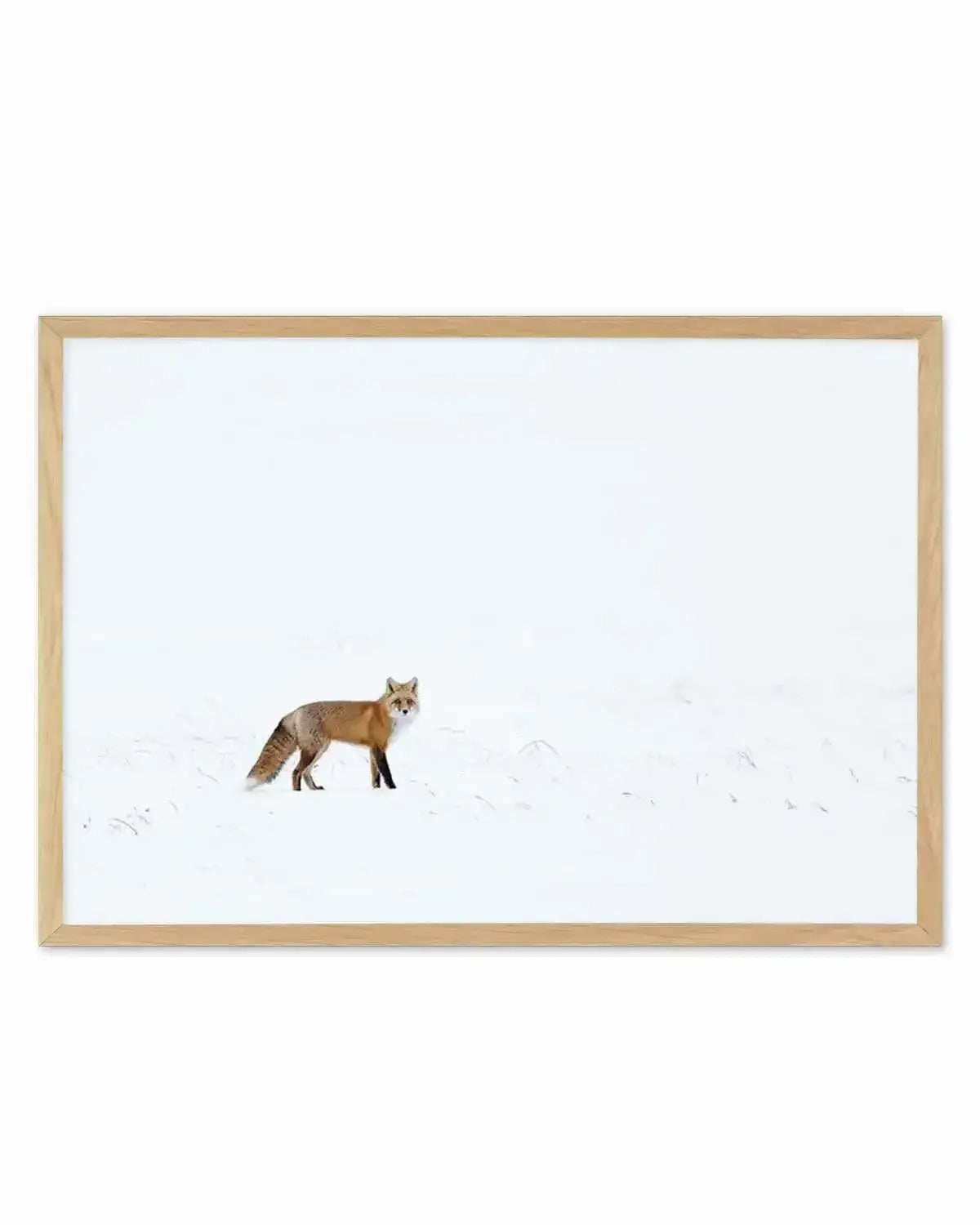 Arctic Fox | LS Art Print from Olive et Oriel where you can shop wallpaper and artworks online