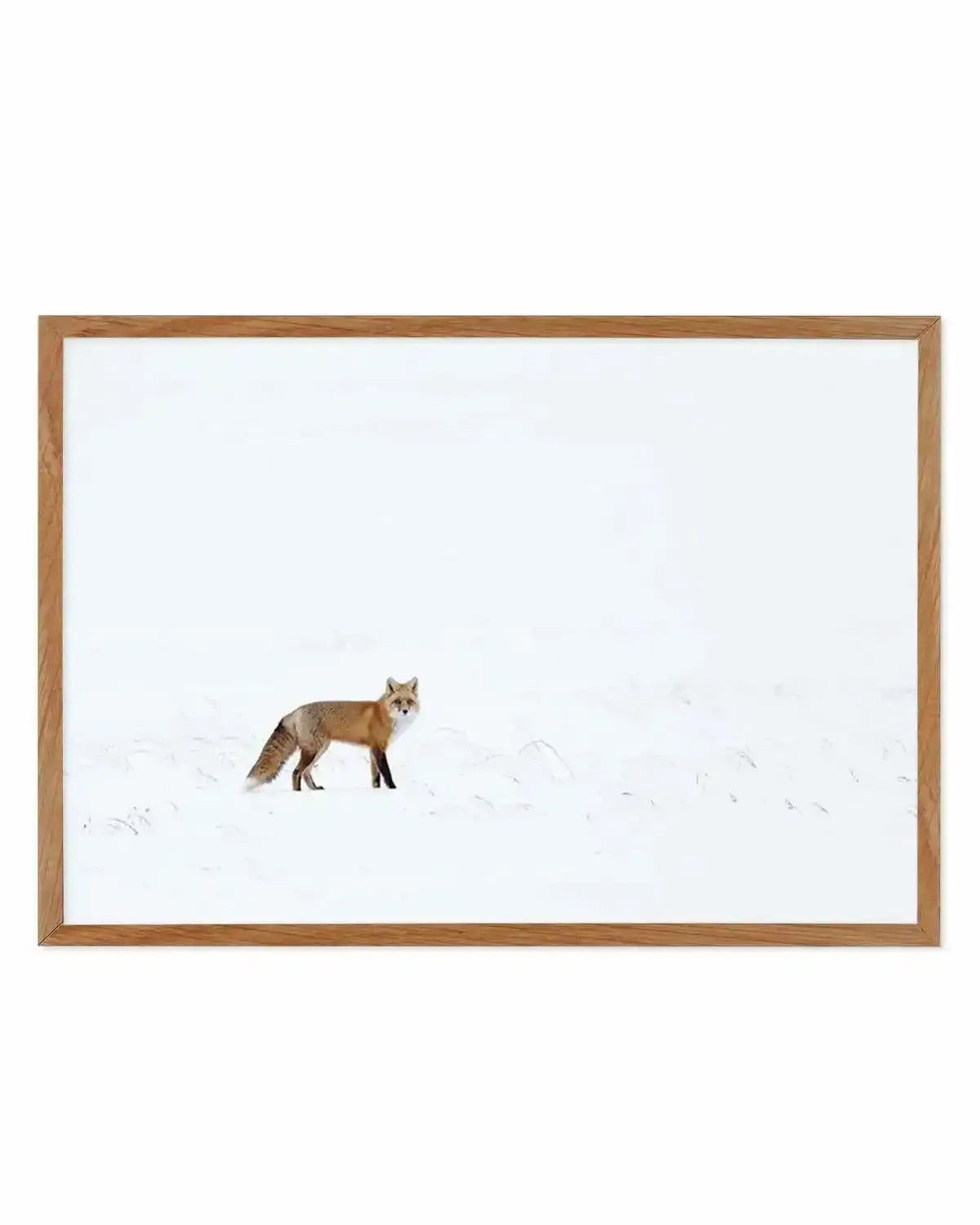 Arctic Fox | LS Art Print from Olive et Oriel where you can shop wallpaper and artworks online