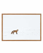 Arctic Fox | LS Art Print