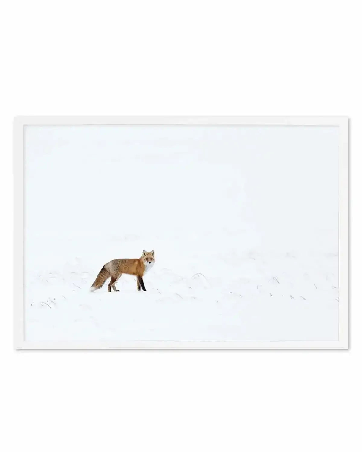 Arctic Fox | LS Art Print from Olive et Oriel where you can shop wallpaper and artworks online