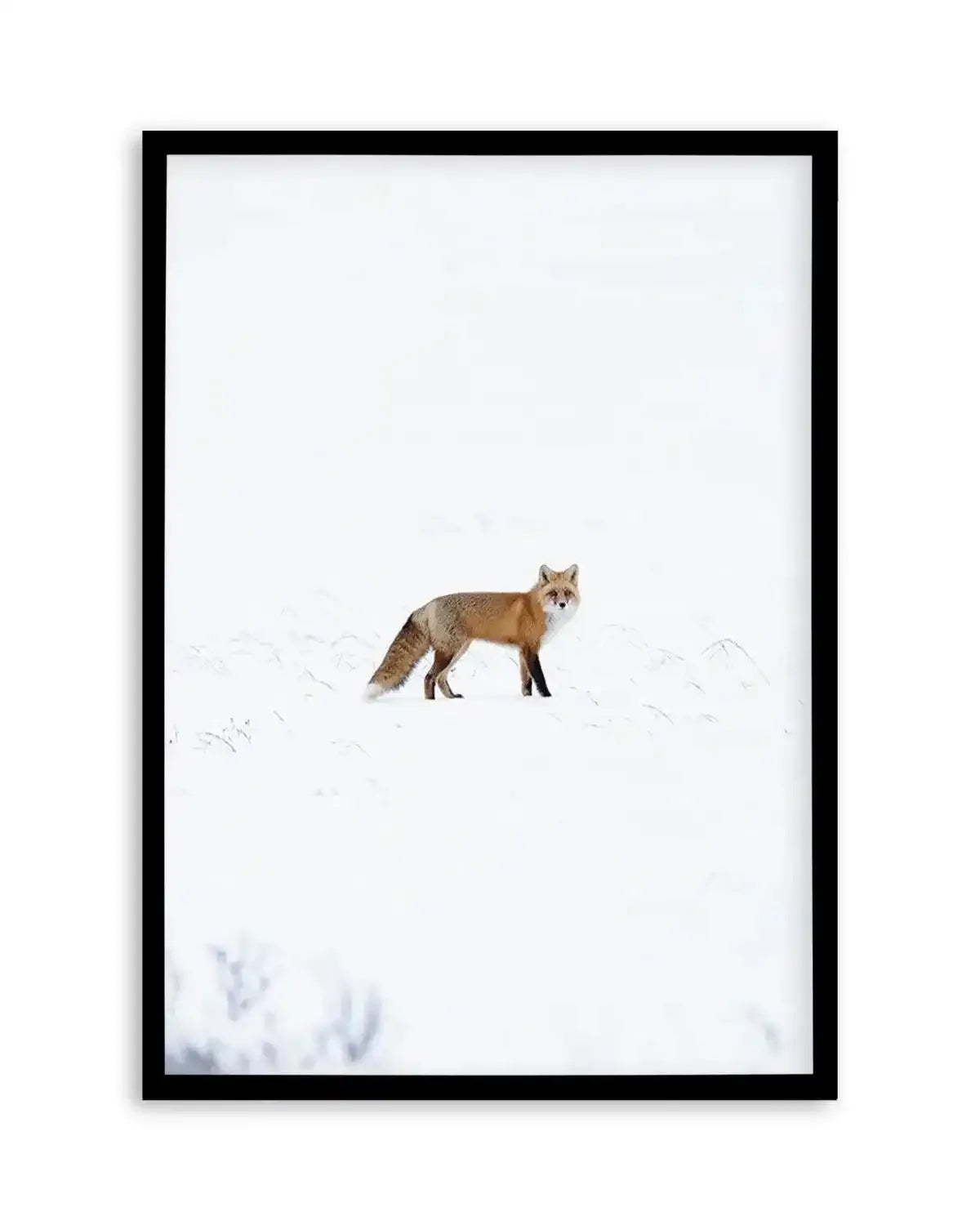 Arctic Fox | PT Art Print from Olive et Oriel where you can shop wallpaper and artworks online