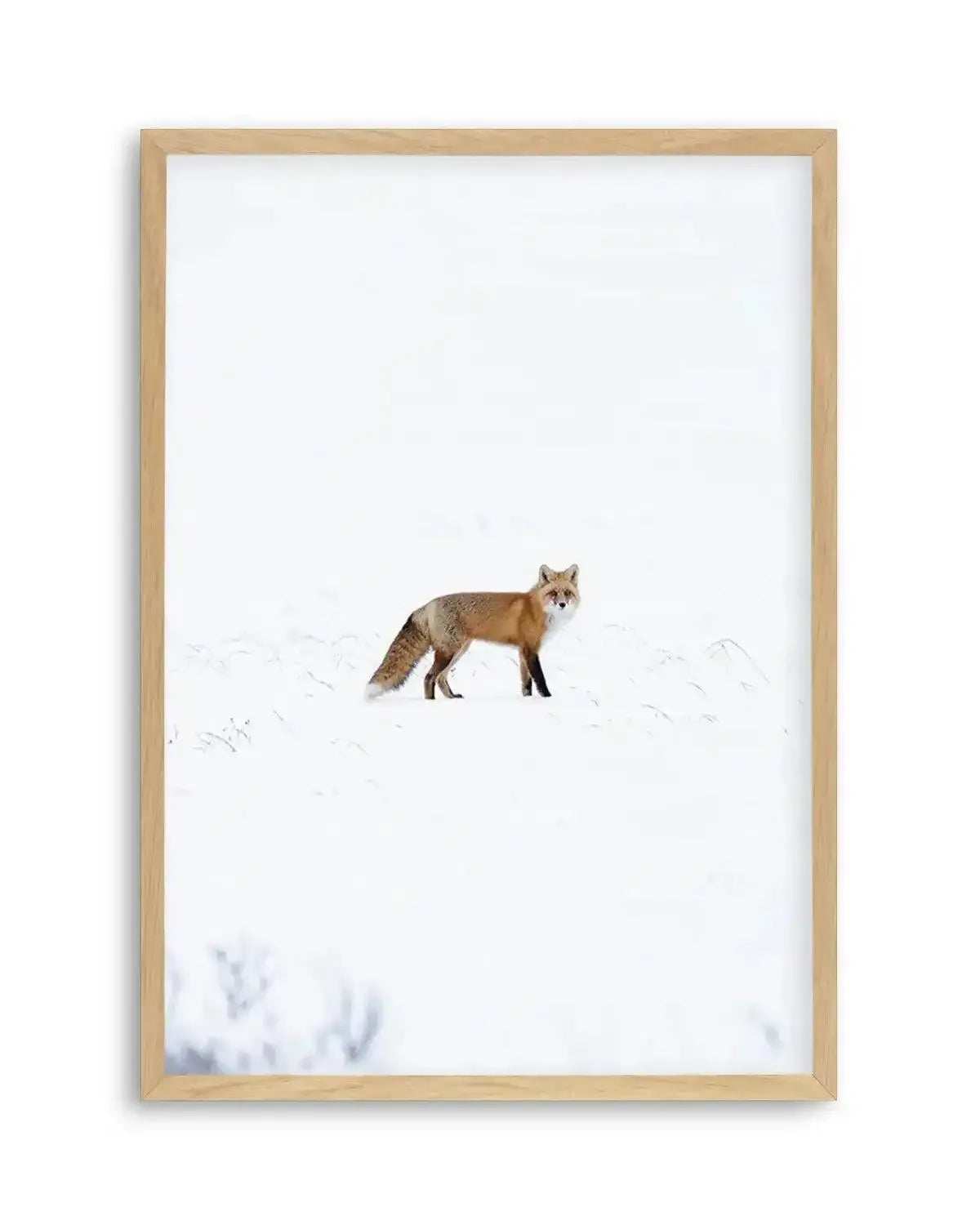 Arctic Fox | PT Art Print from Olive et Oriel where you can shop wallpaper and artworks online
