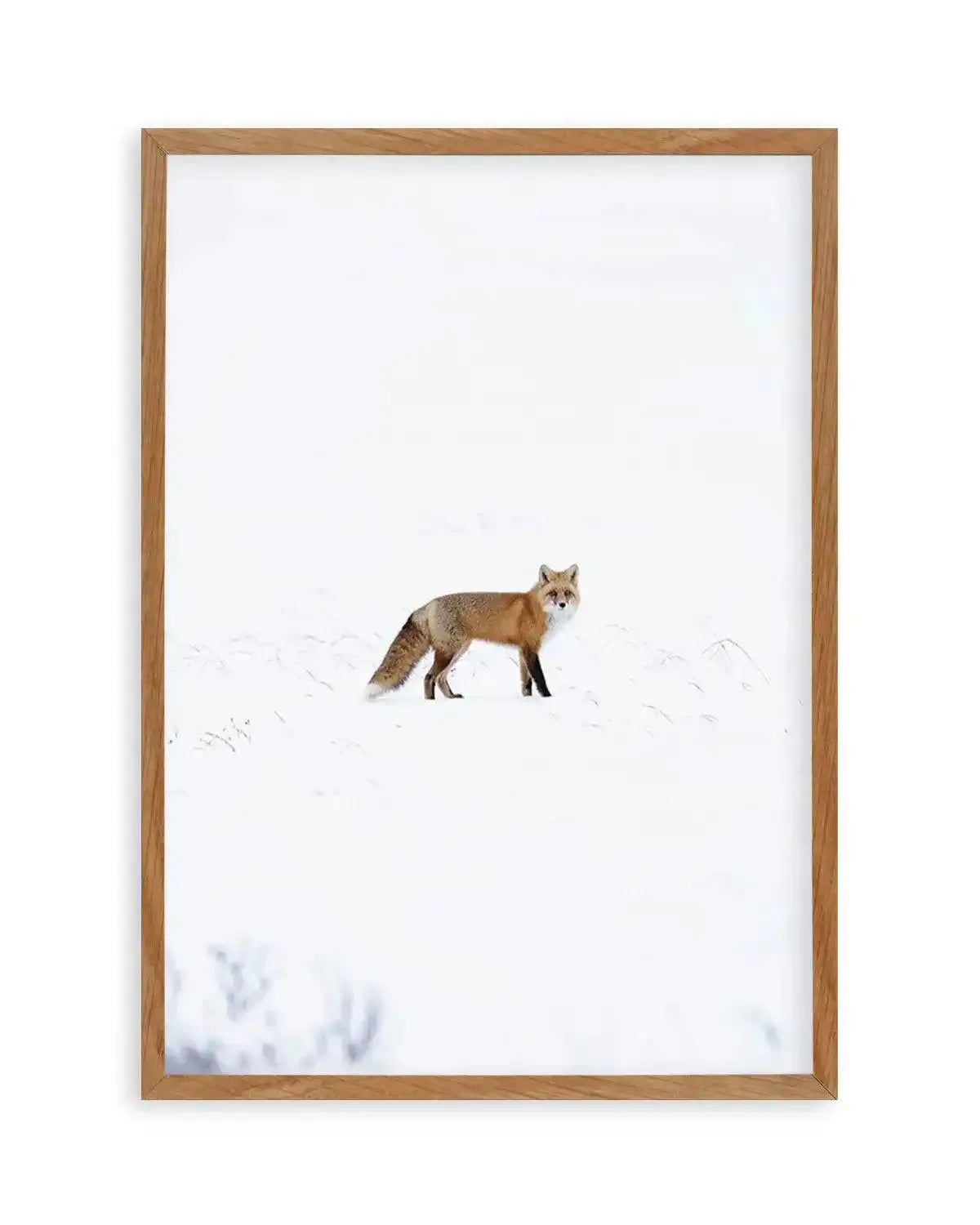 Arctic Fox | PT Art Print from Olive et Oriel where you can shop wallpaper and artworks online