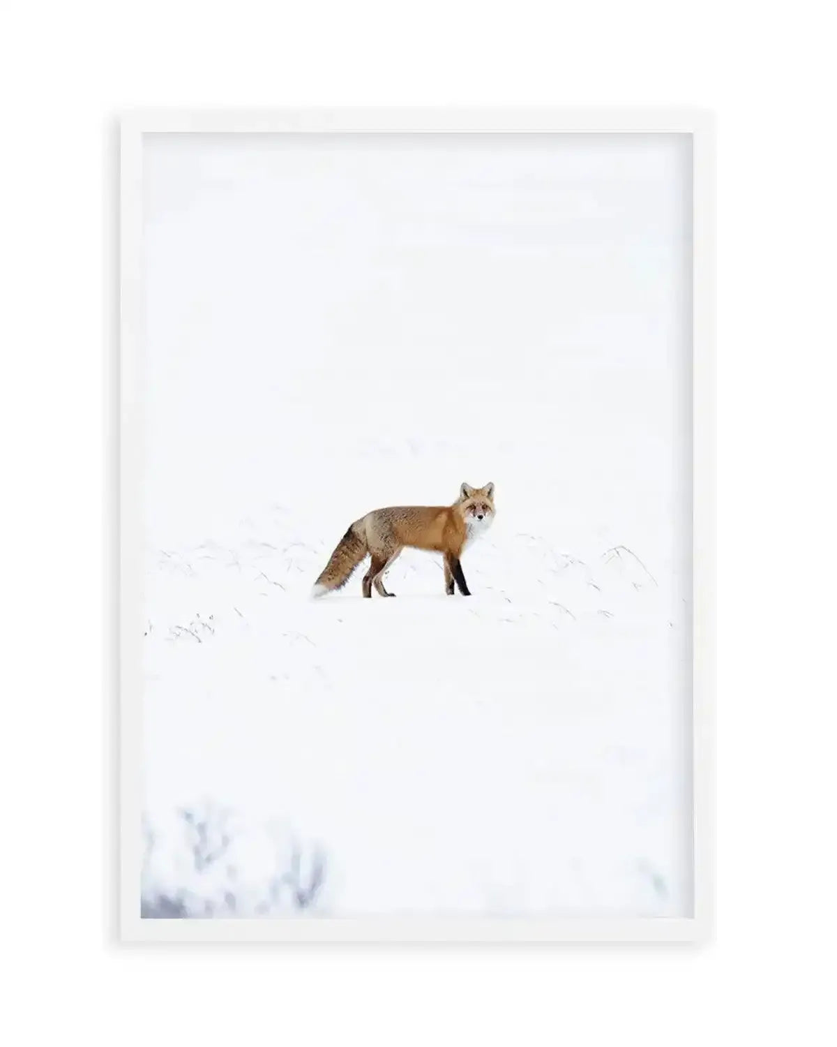 Arctic Fox | PT Art Print from Olive et Oriel where you can shop wallpaper and artworks online
