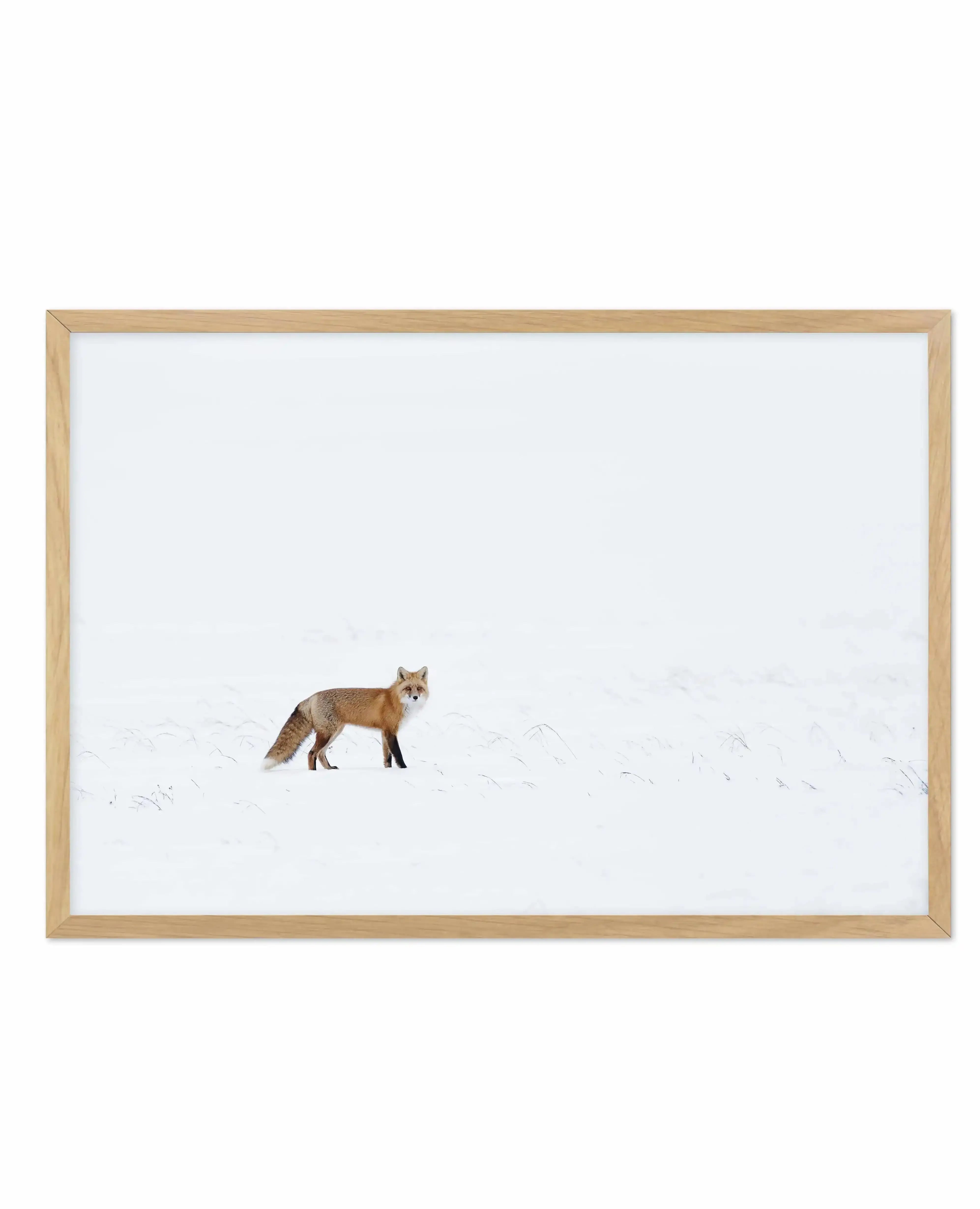 Arctic Fox | LS Art Print-PRINT-Olive et Oriel-Olive et Oriel-A5 | 5.8" x 8.3" | 14.8 x 21cm-Oak-With White Border-Buy-Australian-Art-Prints-Online-with-Olive-et-Oriel-Your-Artwork-Specialists-Austrailia-Decorate-With-Coastal-Photo-Wall-Art-Prints-From-Our-Beach-House-Artwork-Collection-Fine-Poster-and-Framed-Artwork