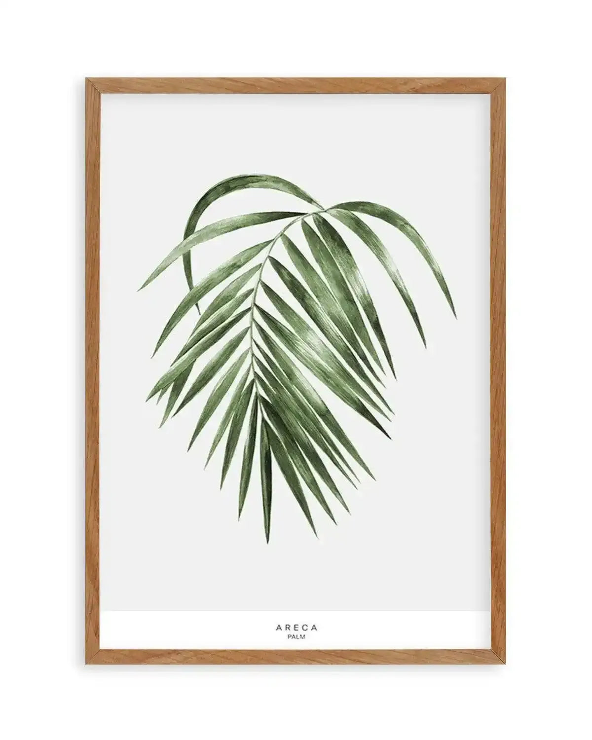 Areca Palm Art Print from Olive et Oriel where you can shop wallpaper and artworks online