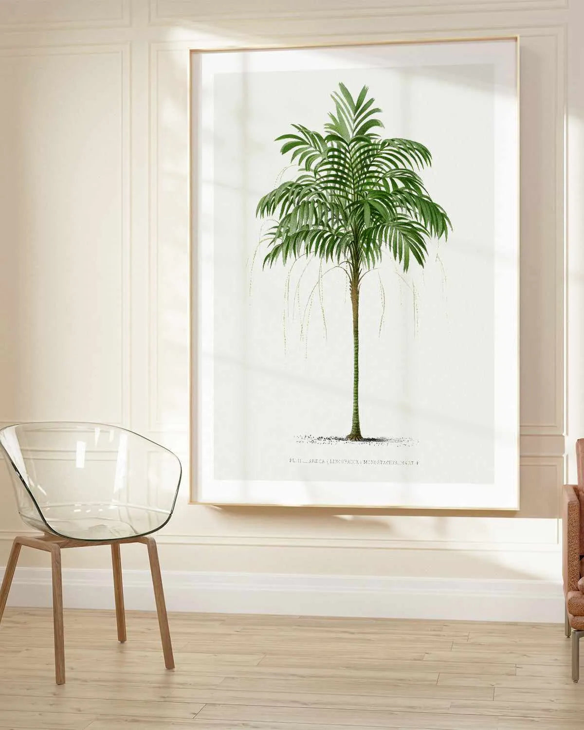 Areca Monostachya Vintage Palm Poster Art Print from Olive et Oriel where you can shop wallpaper and artworks online