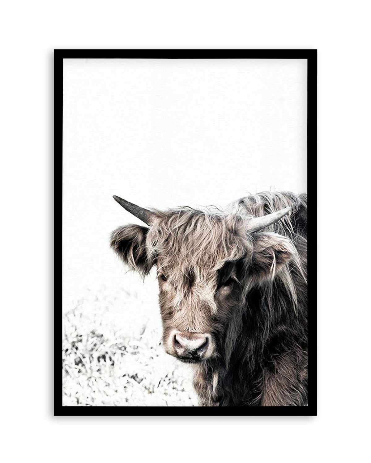 Arthur | Highlander Art Print