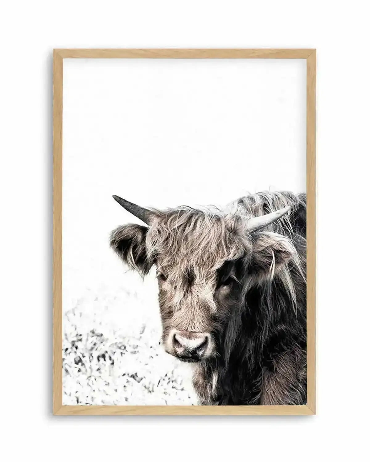 Arthur | Highlander Art Print from Olive et Oriel where you can shop wallpaper and artworks online