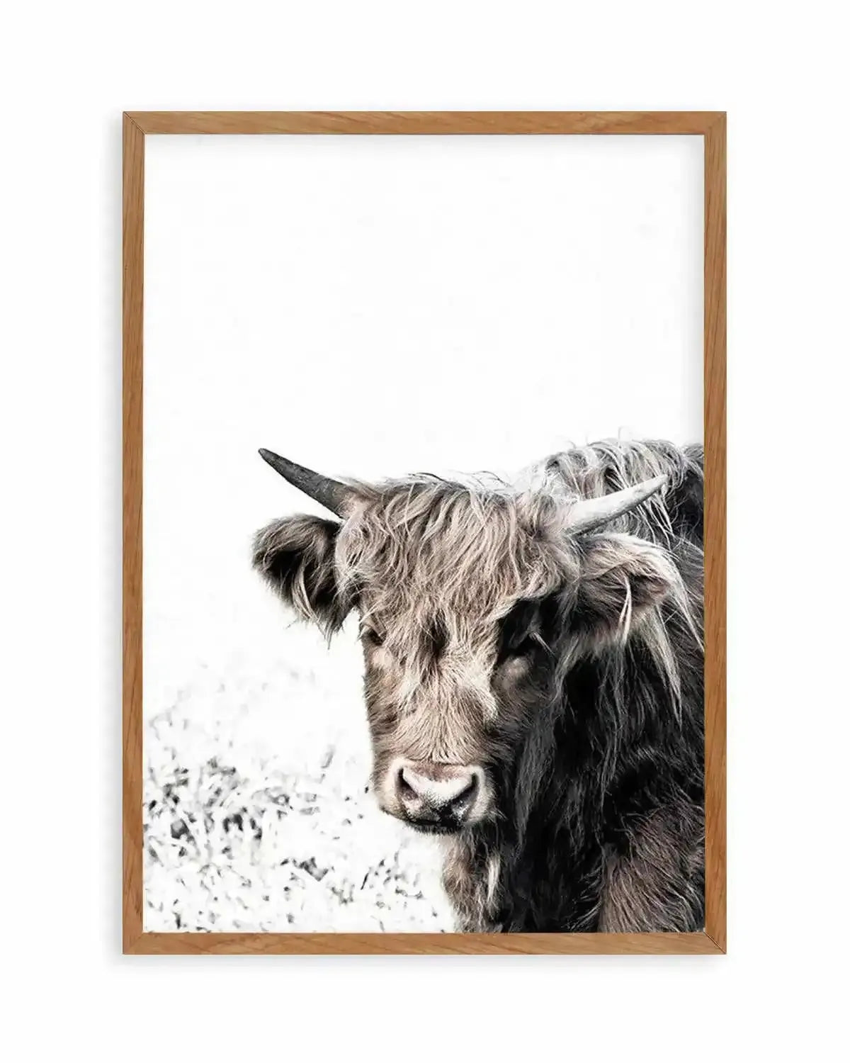 Arthur | Highlander Art Print from Olive et Oriel where you can shop wallpaper and artworks online
