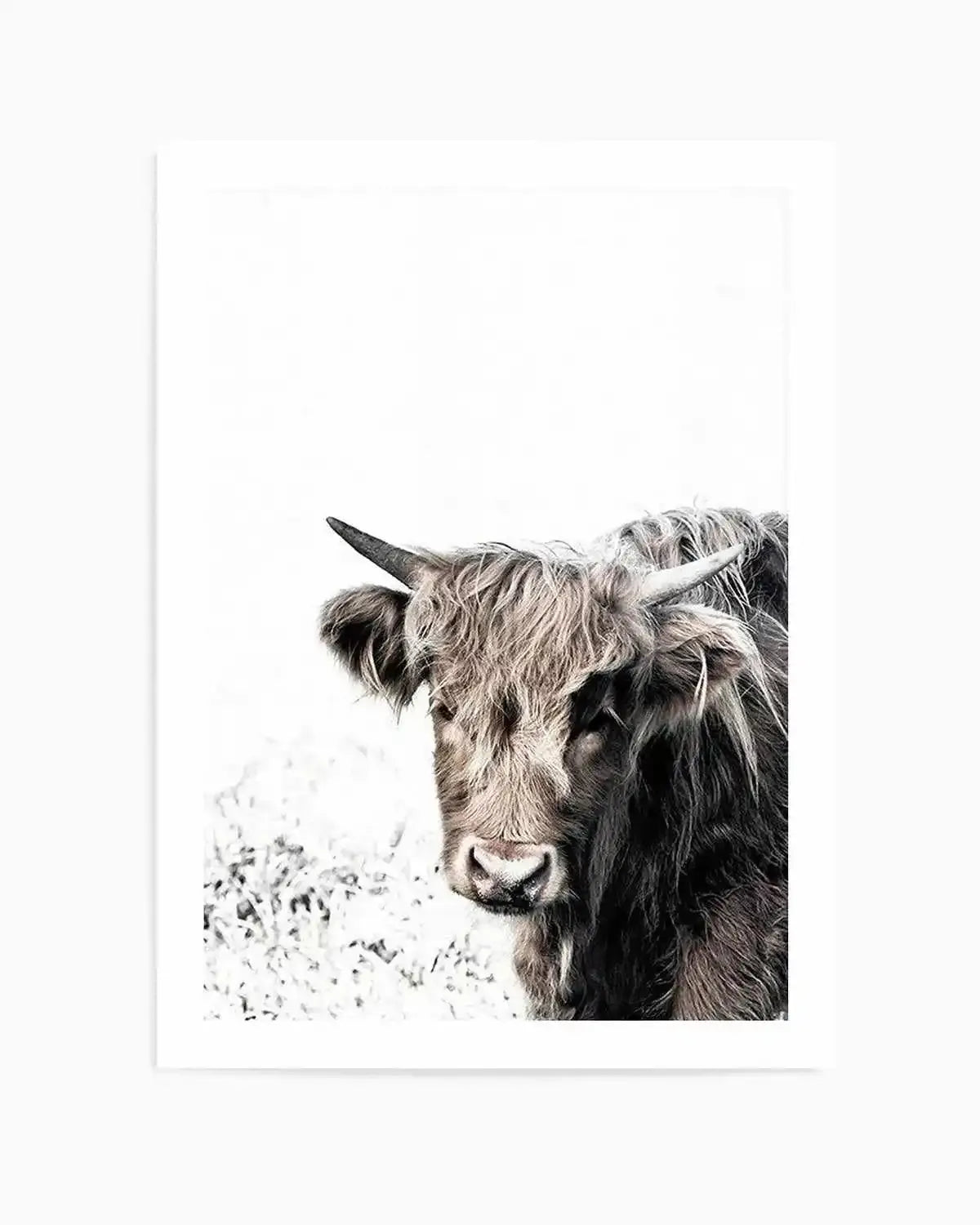 Arthur | Highlander Art Print from Olive et Oriel where you can shop wallpaper and artworks online