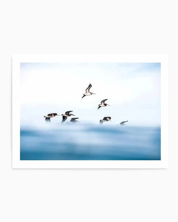 Framed photograph of a flock of pelicans flying low over a calm, misty blue ocean, with a bright white sky. The birds are captured mid-flight, with some appearing to skim the water's surface, creating a serene and ethereal composition.
