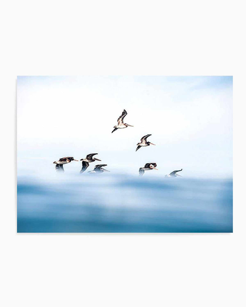 As They Fly Art Print