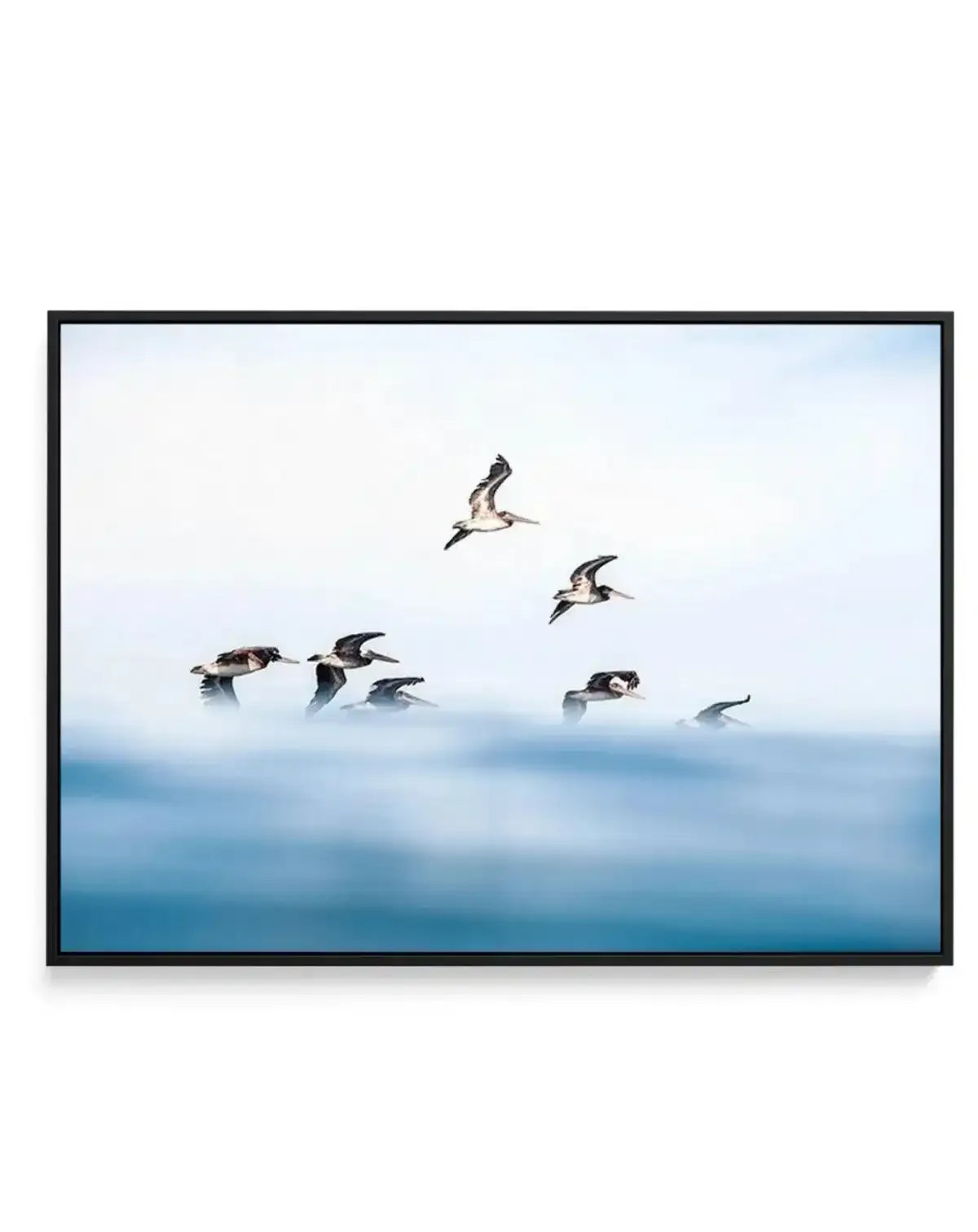 As They Fly | Framed Canvas-CANVAS-You can shop wall art online with Olive et Oriel for everything from abstract art to fun kids wall art. Our beautiful modern art prints and canvas art are available from large canvas prints to wall art paintings and our proudly Australian artwork collection offers only the highest quality framed large wall art and canvas art Australia - You can buy fashion photography prints or Hampton print posters and paintings on canvas from Olive et Oriel and have them deli