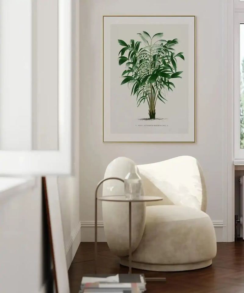 Astrocaryum Murumuru Vintage Palm Poster Art Print from Olive et Oriel where you can shop wallpaper and artworks online