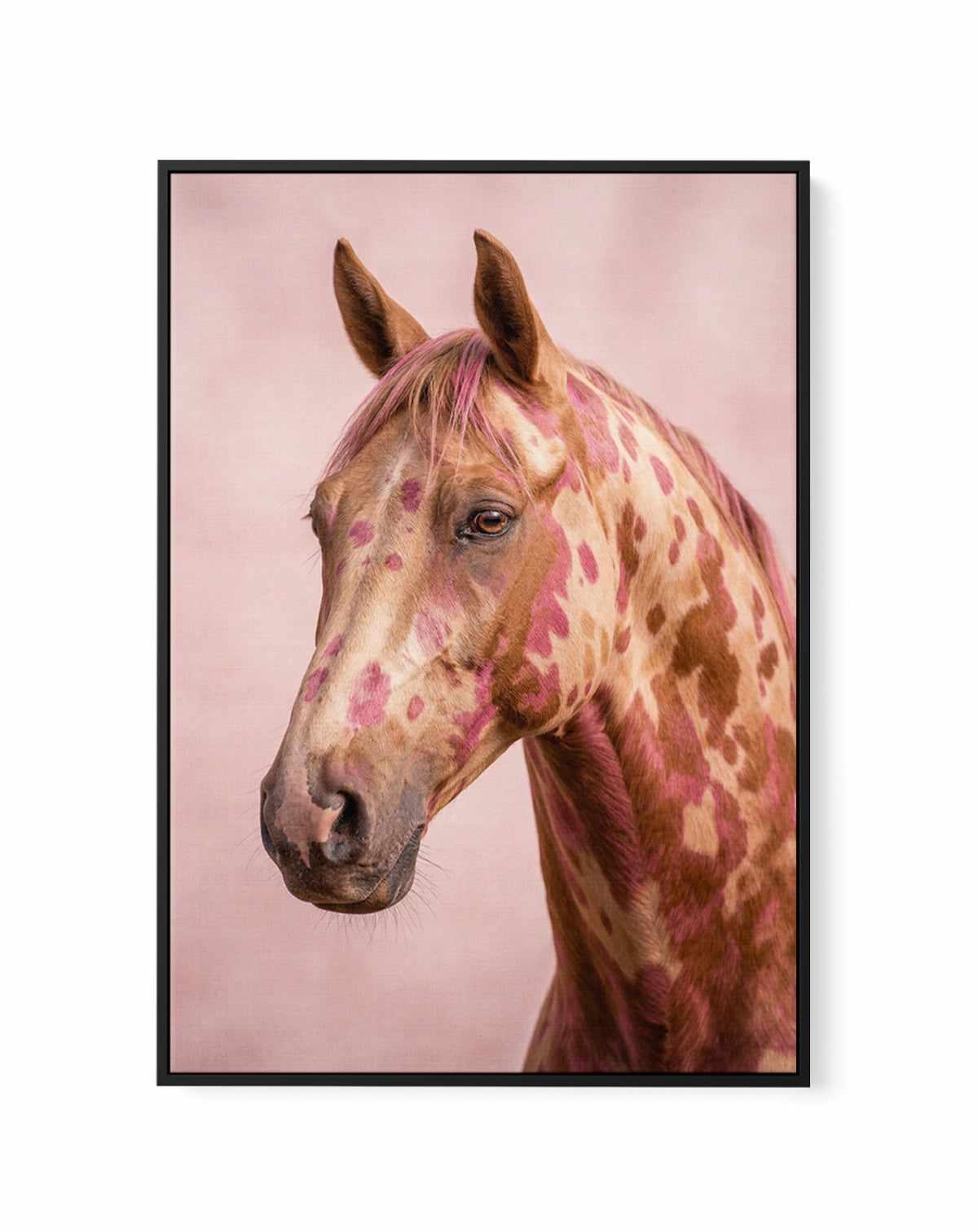 Aurora Stallion | Framed Canvas Art Print from Olive et Oriel where you can shop wallpaper and artworks online