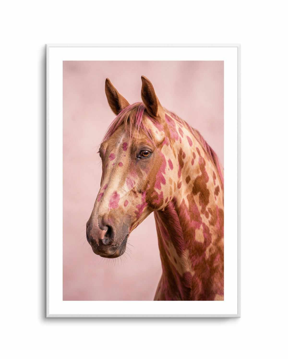 Aurora Stallion | Art Print