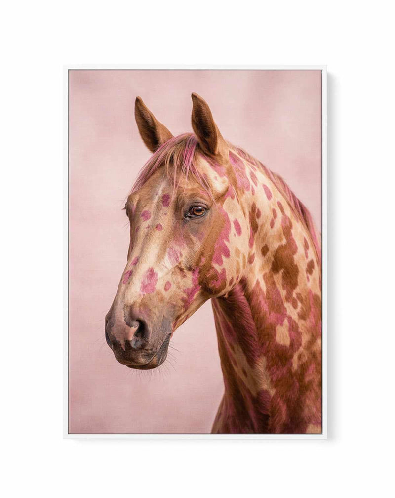 Aurora Stallion | Framed Canvas Art Print from Olive et Oriel where you can shop wallpaper and artworks online