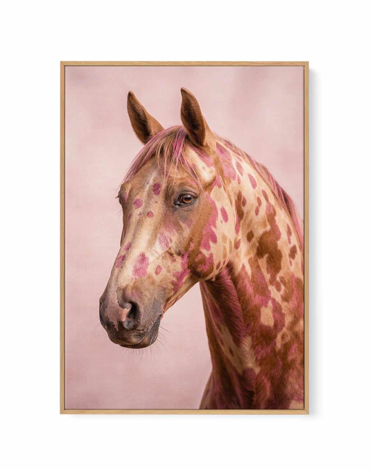 Aurora Stallion | Framed Canvas Art Print from Olive et Oriel where you can shop wallpaper and artworks online