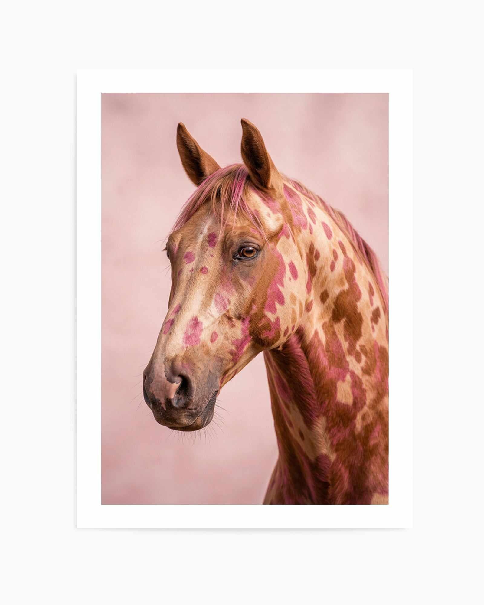 Aurora Stallion | Art Print from Olive et Oriel where you can shop wallpaper and artworks online