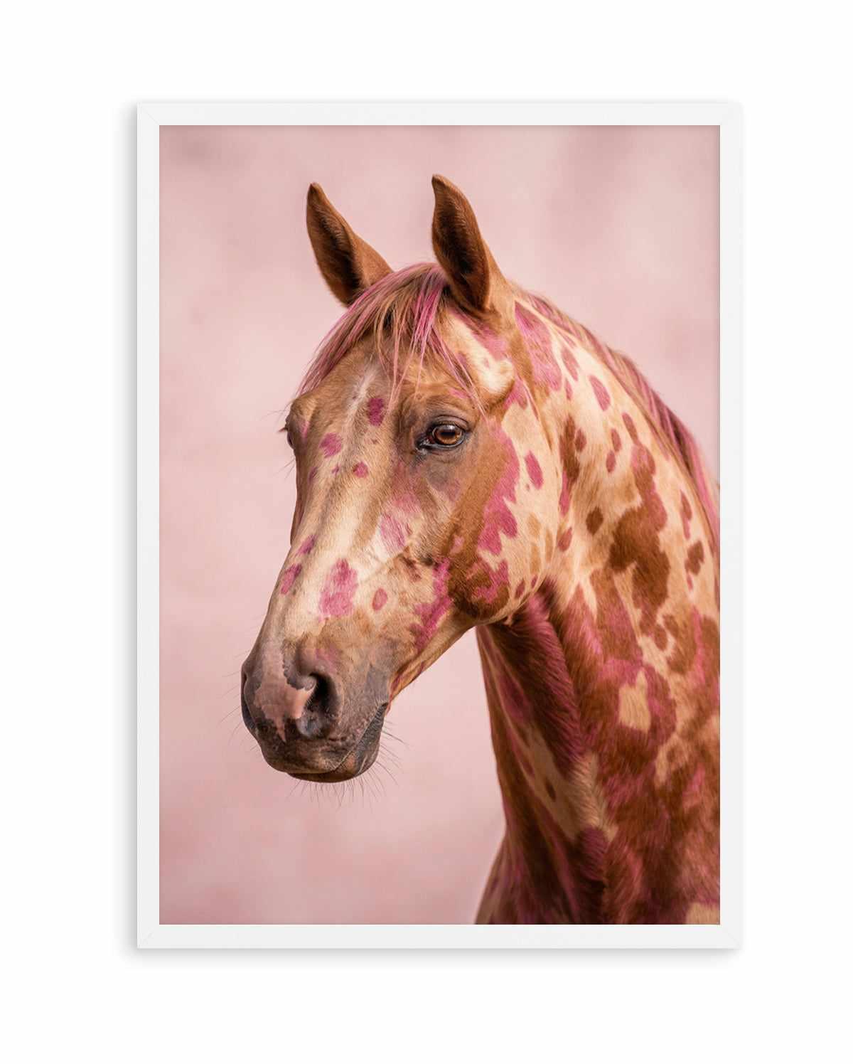 Aurora Stallion | Art Print from Olive et Oriel where you can shop wallpaper and artworks online