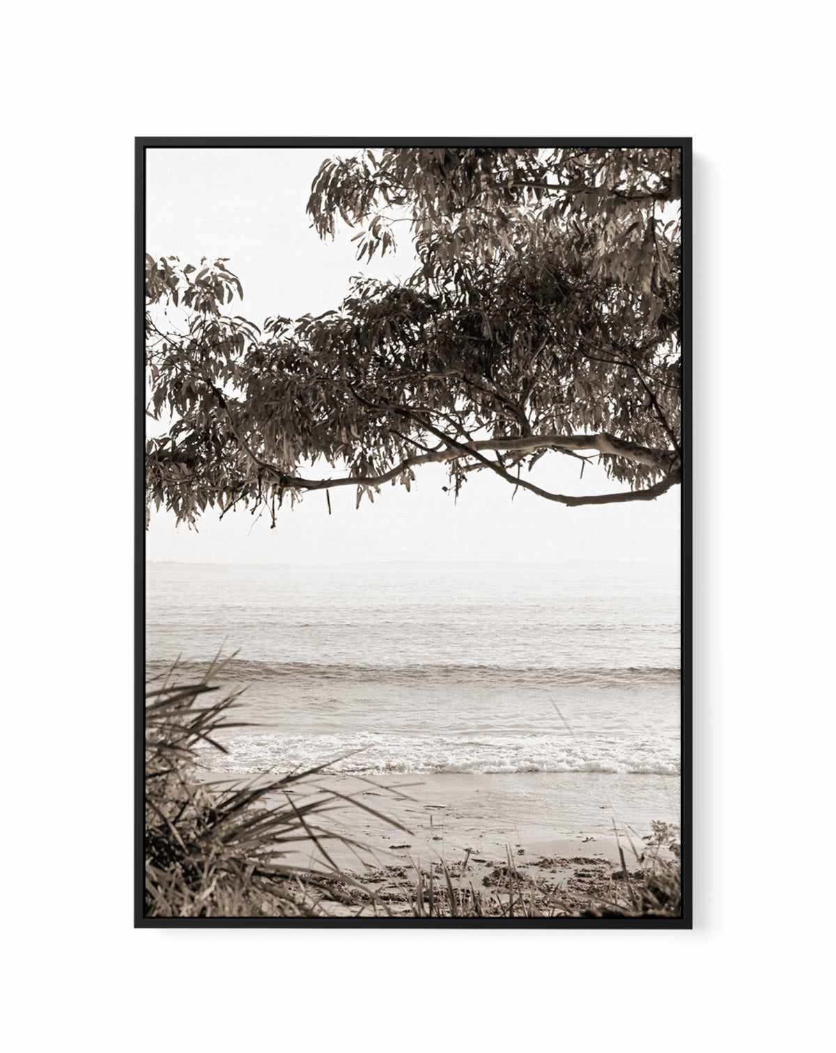 Australian Coast II | Framed Canvas Art Print