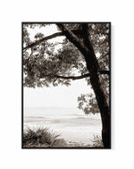 Australian Coast III | Framed Canvas Art Print