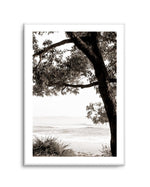 Australian Coast III | Art Print