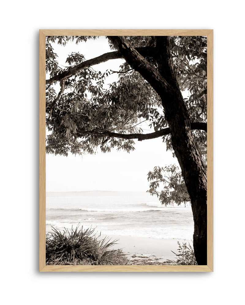 Australian Coast III | Art Print