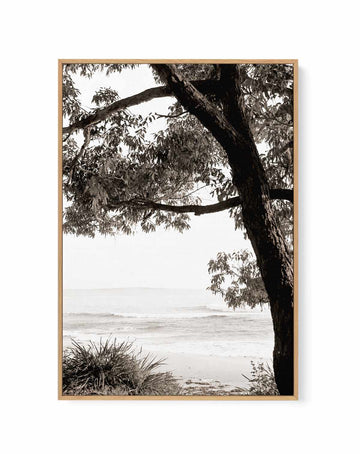 Australian Coast III | Framed Canvas Art Print from Olive et Oriel where you can shop wallpaper and artworks online