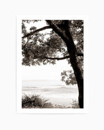 Australian Coast III | Art Print