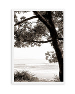 Australian Coast III | Art Print