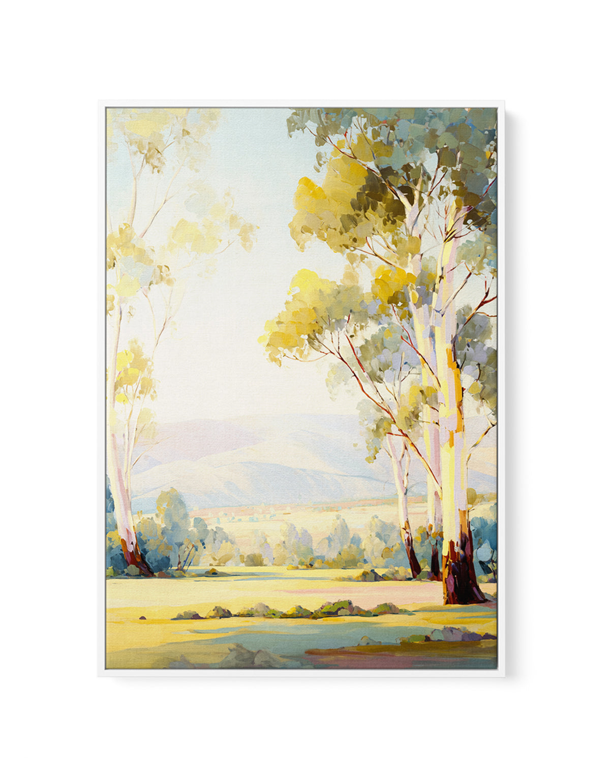 Australian Eucalyptus Trees I | Framed Canvas Art Print from Olive et Oriel where you can shop wallpaper and artworks online