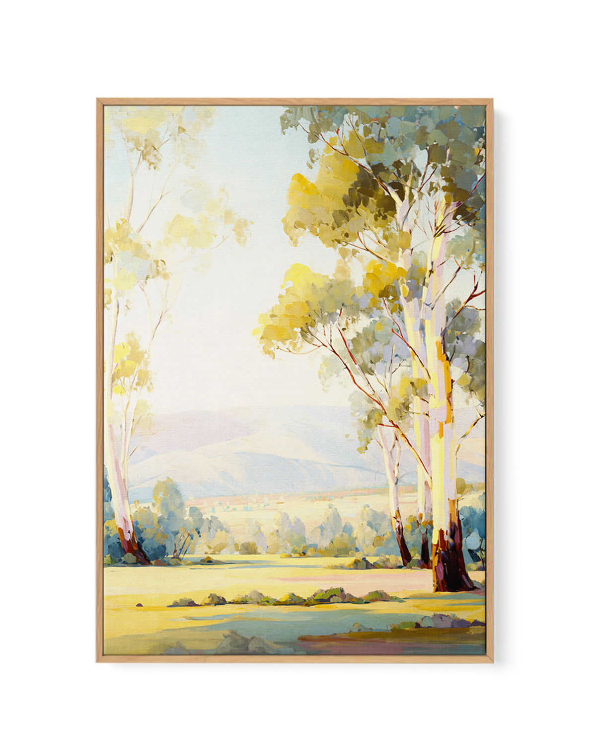 Australian Eucalyptus Trees I | Framed Canvas Art Print from Olive et Oriel where you can shop wallpaper and artworks online