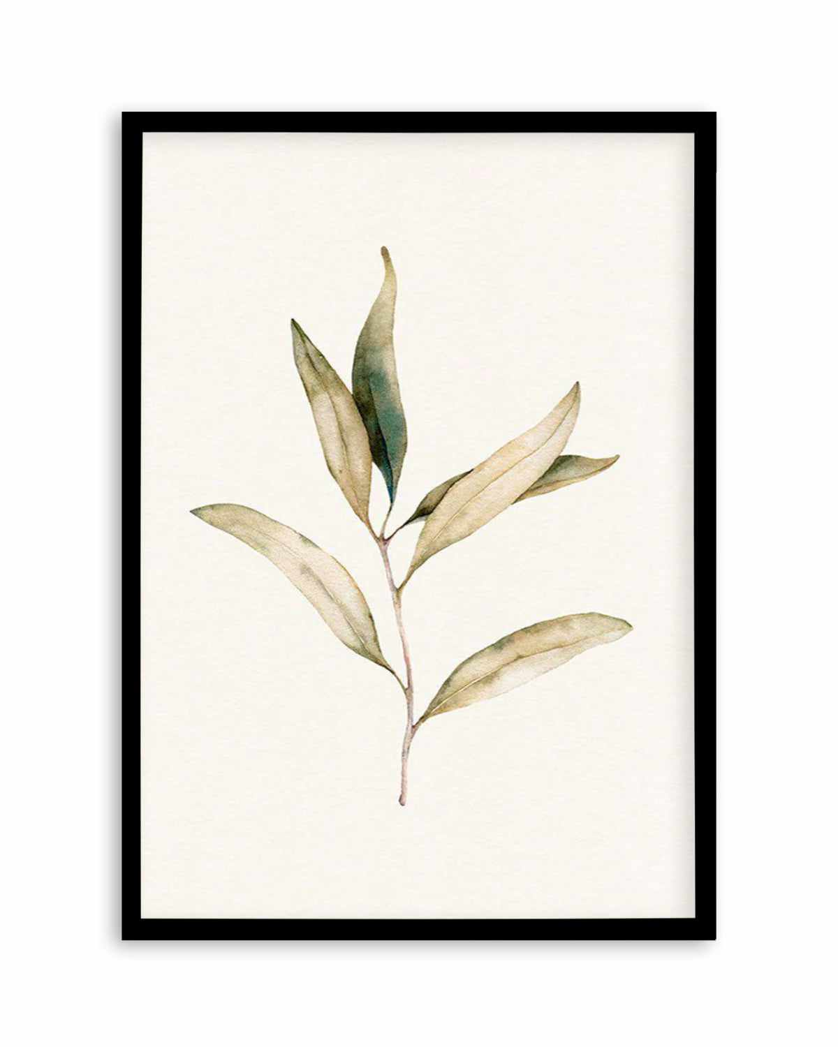 Australian Foliage I Art Print