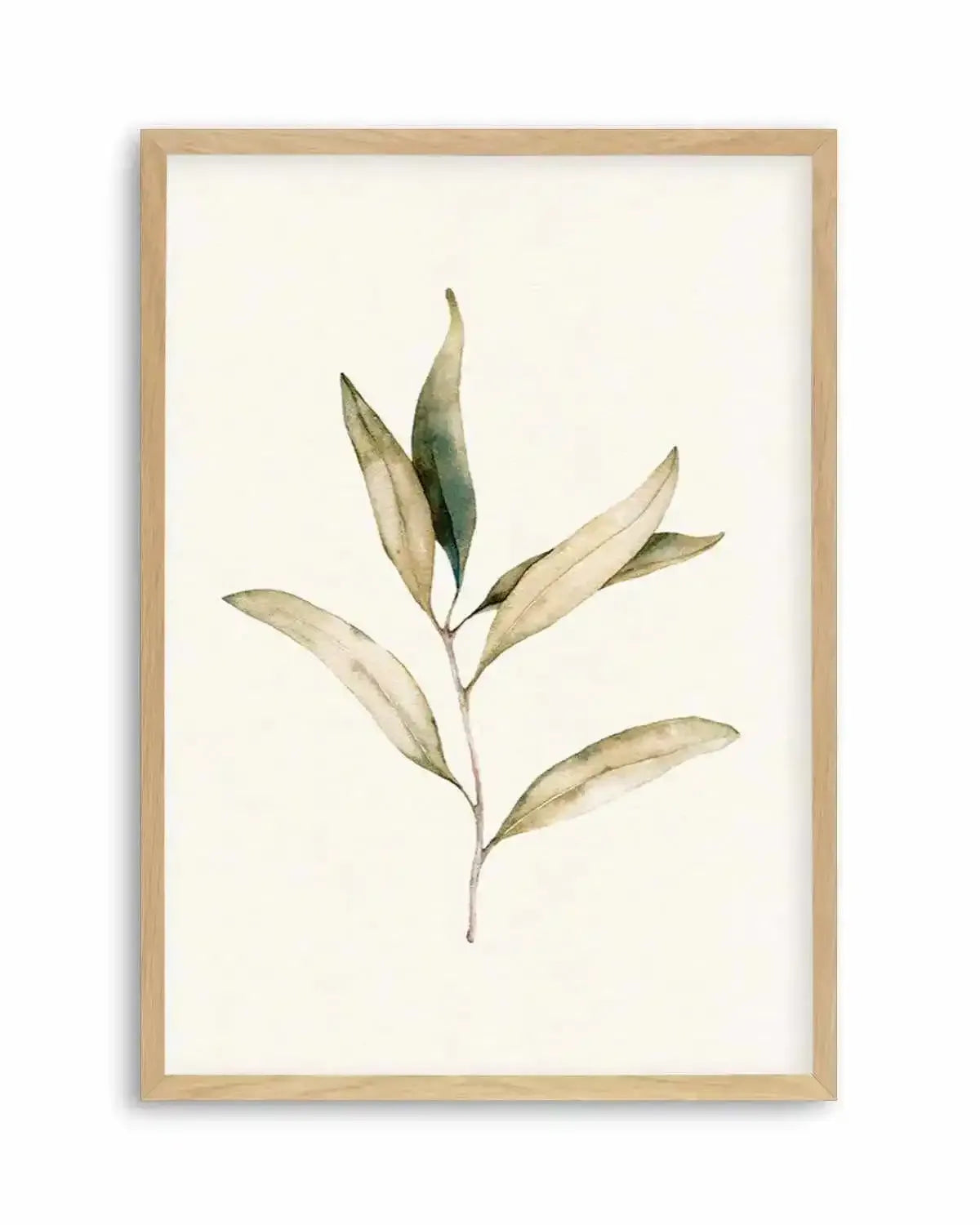 Australian Foliage I Art Print from Olive et Oriel where you can shop wallpaper and artworks online