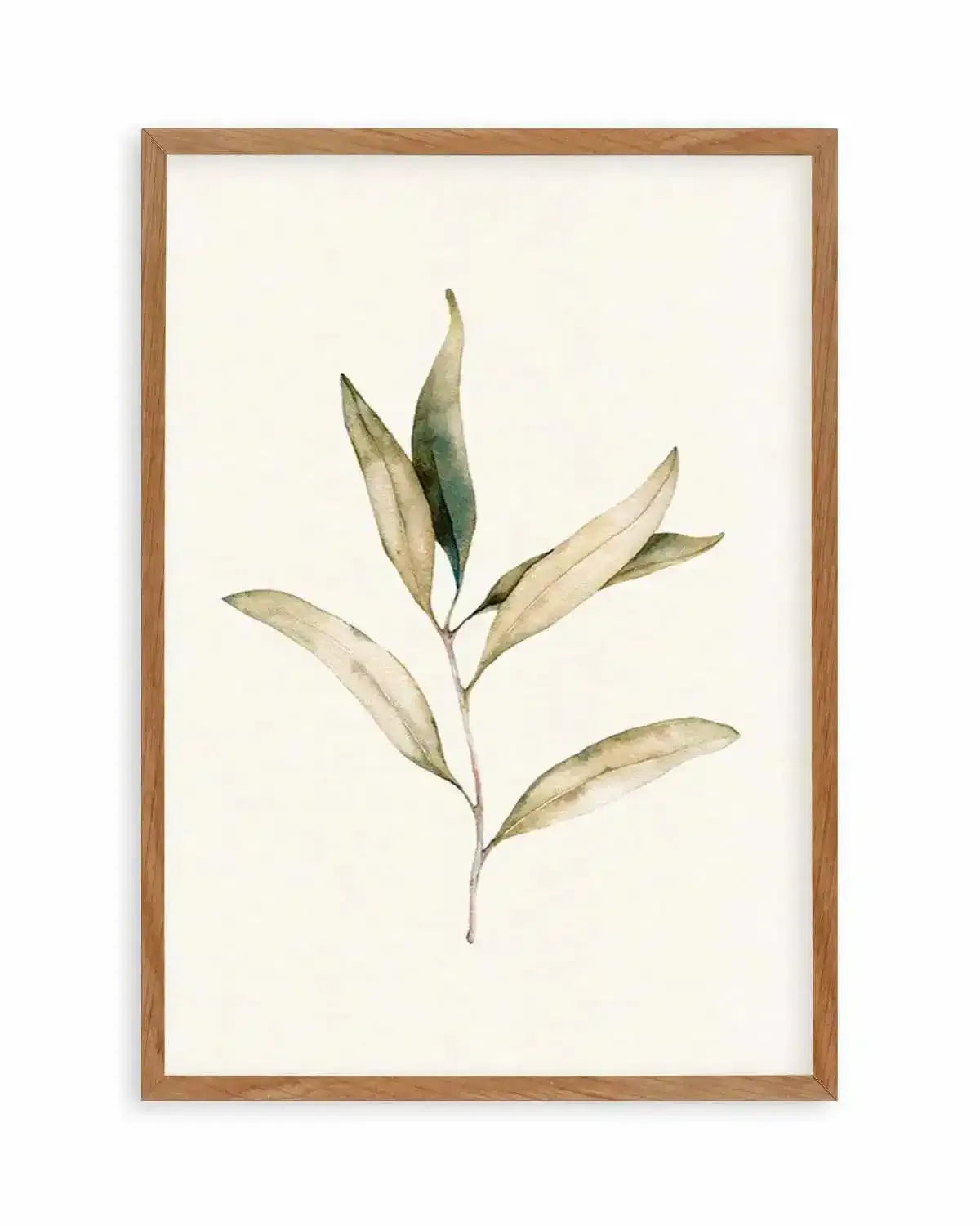 Australian Foliage I Art Print from Olive et Oriel where you can shop wallpaper and artworks online