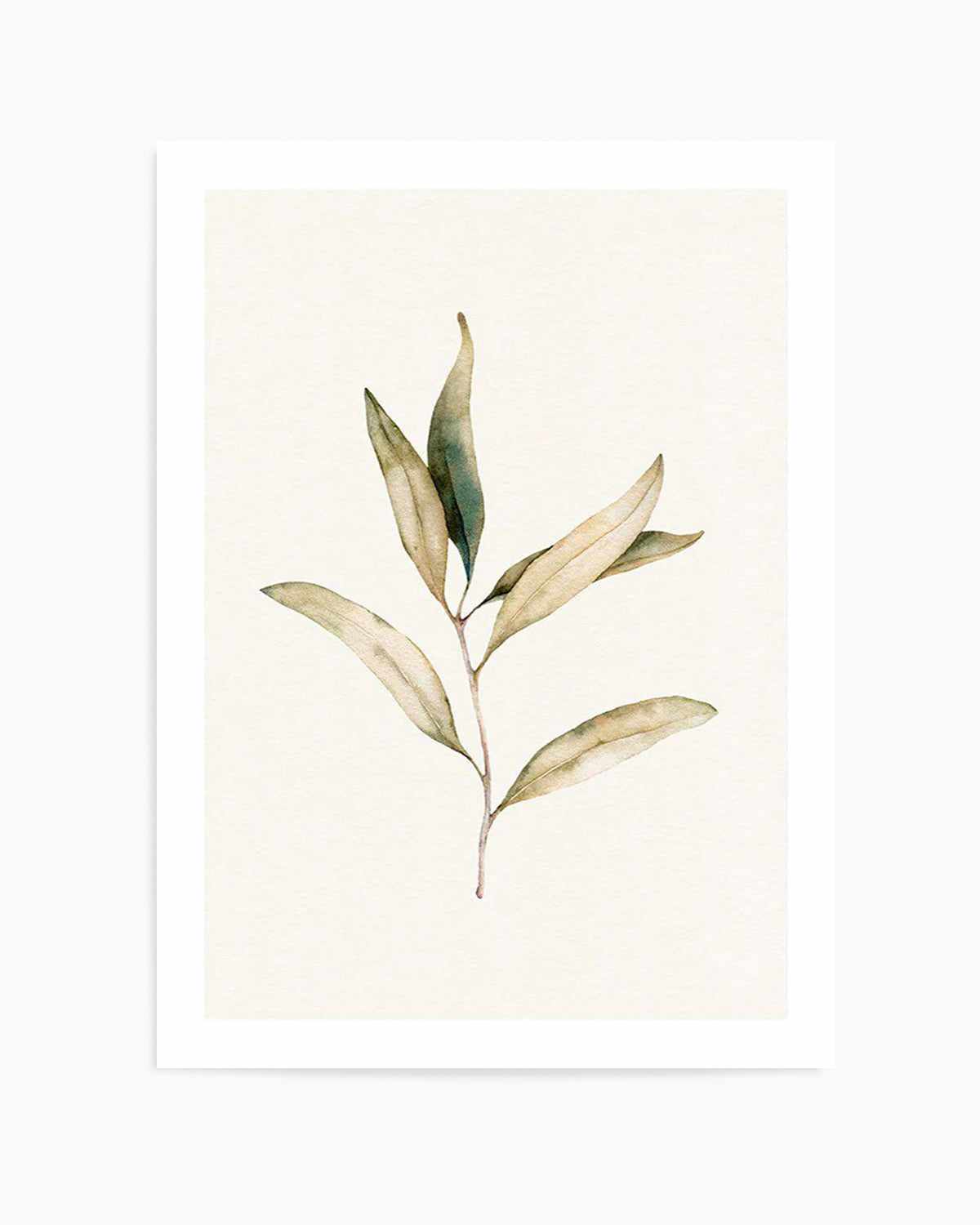 Australian Foliage I Art Print