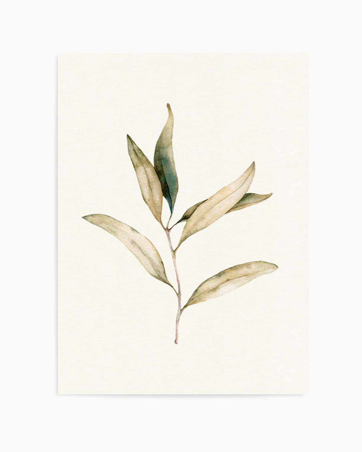 Australian Foliage I Art Print