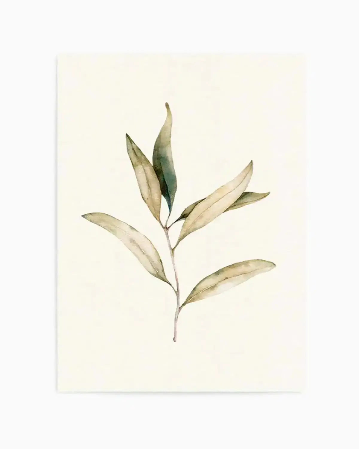 Australian Foliage I Art Print from Olive et Oriel where you can shop wallpaper and artworks online