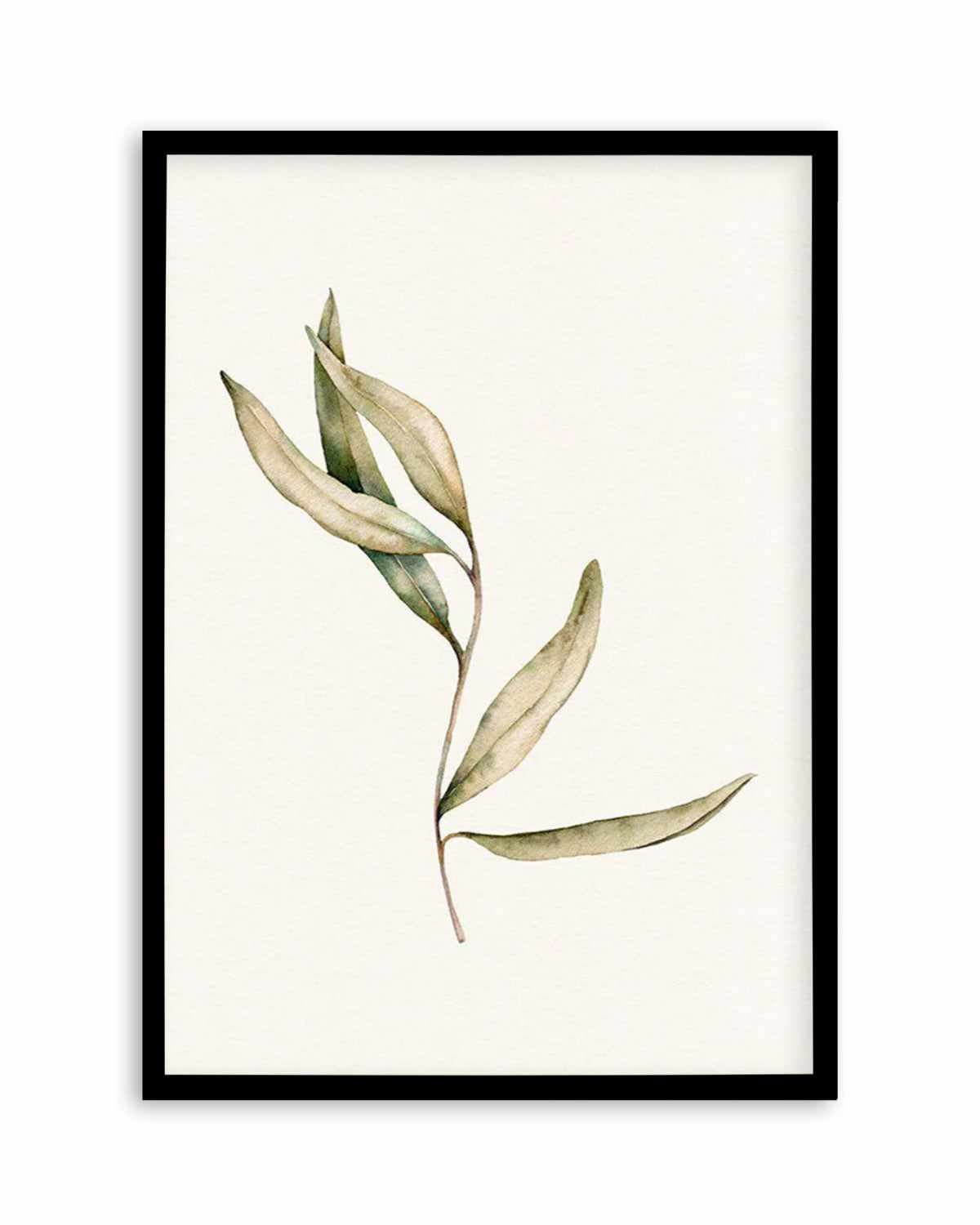 Australian Foliage II Art Print