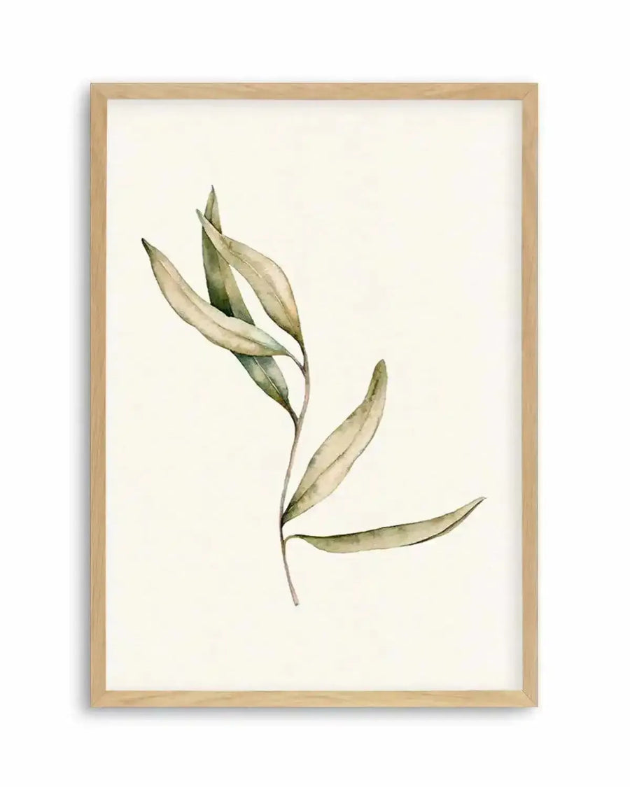 Australian Foliage II Art Print from Olive et Oriel where you can shop wallpaper and artworks online